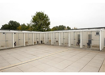 Meriroyles Luxury boarding kennels