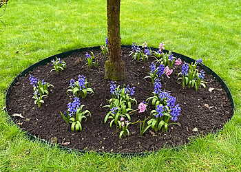 Merlin Lawn Care Ltd