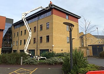 Michael Wilson and Son Ltd.