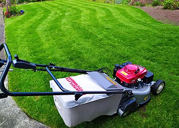 Michelle's Garden Care