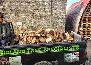 Midland Tree Specialists