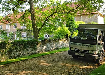 Northampton tree services Midland Tree Specialists image 1