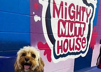 Mighty Mutt House