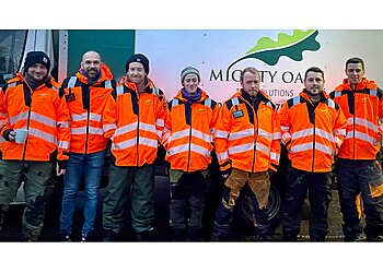 Mighty Oaks Tree Solutions