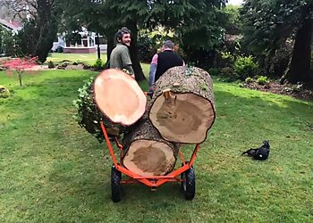 Mighty Oaks Tree Solutions