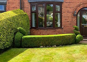 Mike Webster & Son Ltd