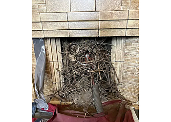 Mike the Sweep   Mike the Sweep