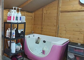 Millie's Paws Grooming Studio