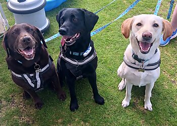 Milton Keynes Veterinary Group