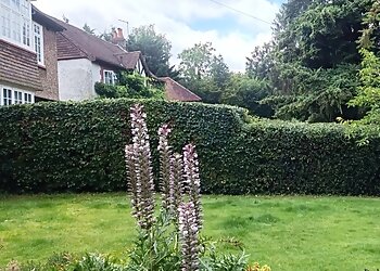 Mimosa Garden Services