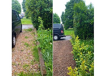 Mimosa Garden Services