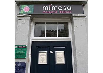 Mimosa Massage Therapy