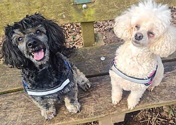 Mind Your Paws Services