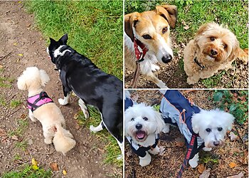 Mind Your Paws Services