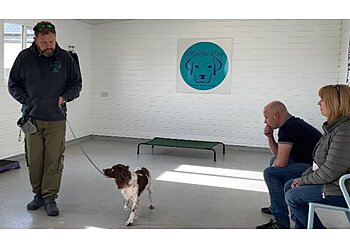 Wirral dog trainers Mindful Dog image 1