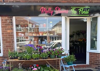 Molly Blooms The Florist