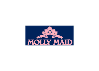 Doncaster cleaning services Molly Maid Doncaster image 1