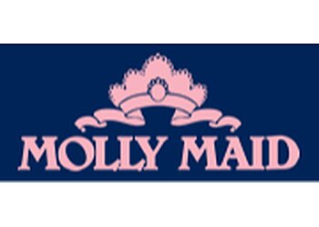 Wrexham cleaning services Molly Maid Wrexham image 1