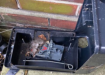 Monarch Pest Control Services