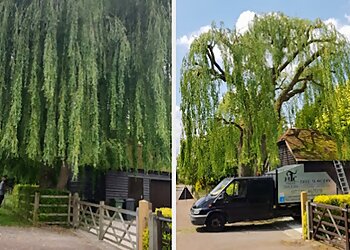 Monet Tree Care Ltd