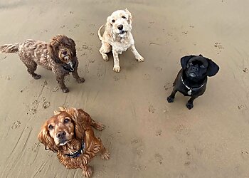 Sunderland dog walkers Mooch That Pooch image 1