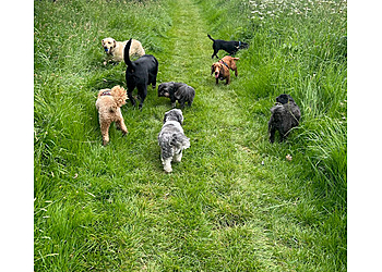 Mooches With Pooches