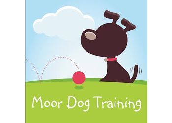 Moor Dog Training & Behavioural Services