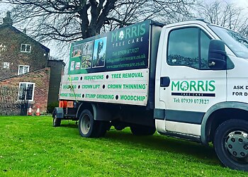 Tameside tree services Morris Tree Care image 1