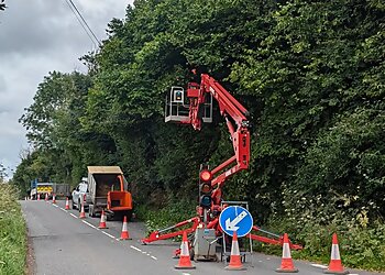 Mortimer Tree Services