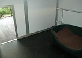 Morton Villa Pet Hotel