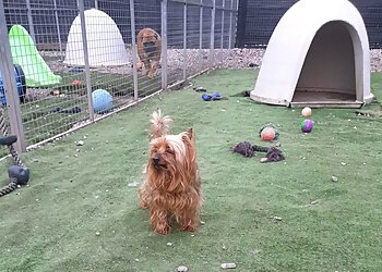 Moss Cottage Kennels