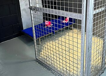 Moss Cottage Boarding Kennels & Cattery