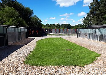 Manchester boarding kennels Moss Cottage Boarding Kennels & Cattery image 1