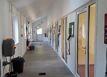 Moss Croft Country Kennels