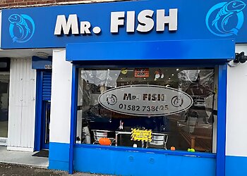 Mr. Fish