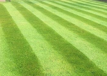 Mr & Mrs Gardens Limited