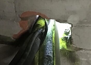 MrWaspman Pest Control