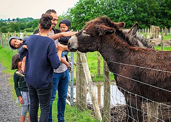 Mrs Dowsons Farm Park