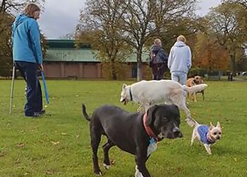 Mucky Pawz Dog Walking & Pet Services