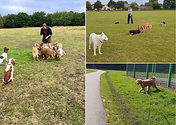 Mucky Pawz Dog Walking & Pet Services