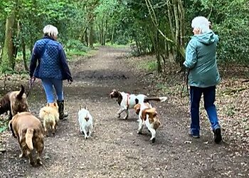 Slough dog walkers Mucky Pawz Dog Walking & Pet Services image 1