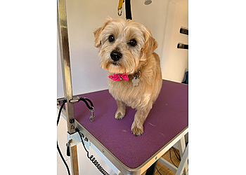 Muddy Mutts Muddy Mutts