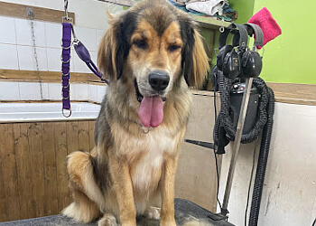 Muddy Paws Dog Grooming