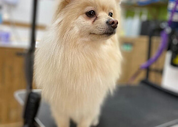 Muddy Paws Dog Grooming