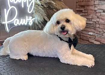 Muddy Paws Dog Grooming