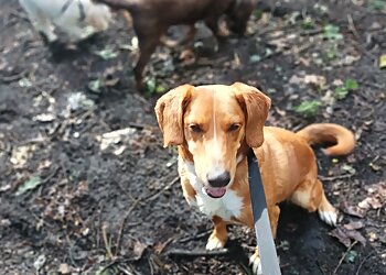 Muddy Paws Dog Walking & Pet Services