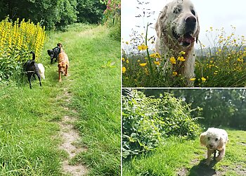 Muddy Paws Dog Walking & Pet Services