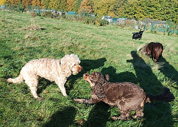 Muddy Paws Dog Walking & Pet Services