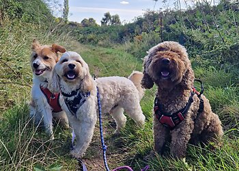 Wakefield dog walkers Muddy Paws and Waggy Tails Dog Walking Services  image 1