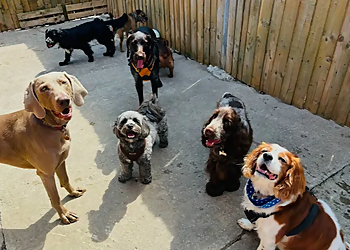 Muddy Pawz Serenity Ltd